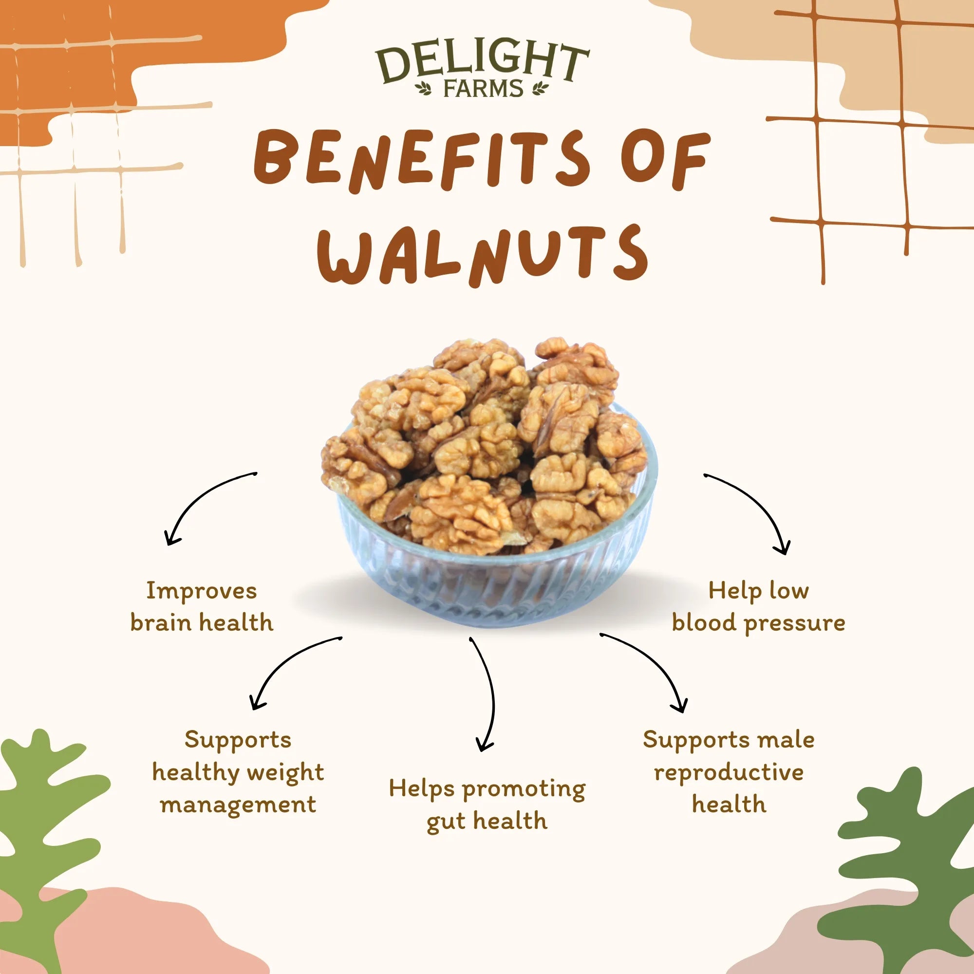 Kashmiri Walnuts
