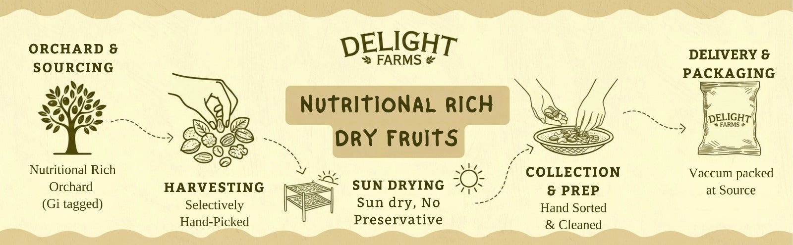 High protein dry fruits banner